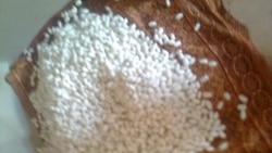 Diňle: Hökümet pile tabşyran daýhanlaryň töleglerini 'gaty gijikdirýär'