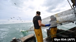 Азырынча Улуу Британия менен Евробиримдик балык уулоо эрежелери боюнча келишим түзө элек. Ньюхейвен портундагы балыкчы. Англия, Улуу Британия. 2020-жылдын 12-октябры. 