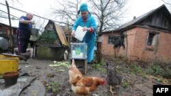 Украинадагы шайлоодо "ооруп калды" деп тизмеге киргендер көп болду. Аларды үйлөрүн кыдырып добуш бердиришти.  