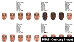 Иллюстрация из работы Крэйга Вентера и его соавторов