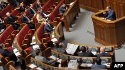 Перший віце-прем’єр Андрій Клюєв доповідає в Верховній Раді про проекти нових російсько-українських угод 12 травня 2010 року