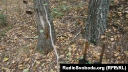 Орієнтовне місце поховання на Чернігівщині полонених бійців під час Другої світової війни