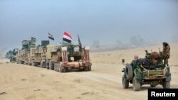  نیروهای حشد الشعبی در حمام العلیل 