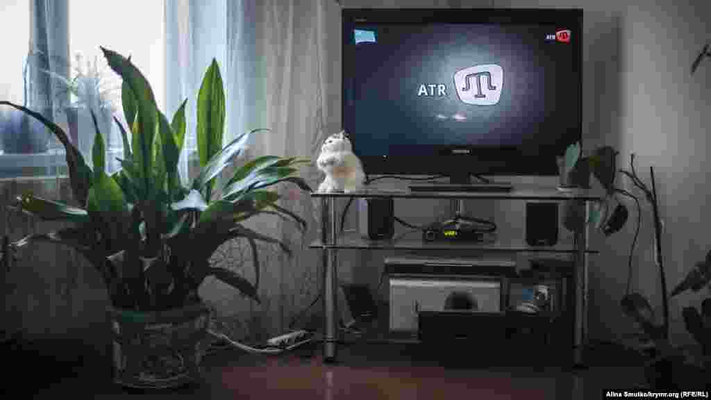 В гостиной дома у Джеппаровых