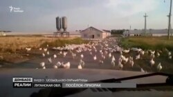 Як бойовики грабують Донбас? Ексклюзивний репортаж