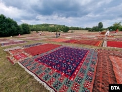 „Иглика килим фест“