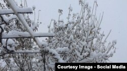 Бахмал туманига ёққан қор бир кундан сўнг эриб кетди