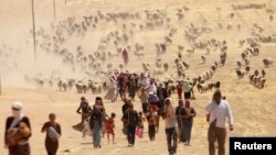 آژانس پناهندگان سازمان ملل متحد تعداد کسانی را که در کوه سِنجار محصور مانده‌اند، ۲۰ تا ۳۰ هزار نفر اعلام کرده است. 