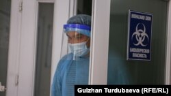 Иллюстрациялык сүрөт.