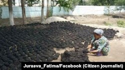 Энергетик бўҳрон сабаб одамлар йиллардан бери газни таппига алмаштирган.