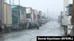 Иллюстрациялык сүрөт.