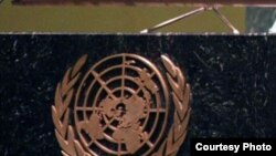 Цхьаьнакхеттачу Къаьмнийн Организацин зударшна гIело ярна дуьхьал йолу дуьненаюкъара конвенци ларйон комитет (CEDAW).