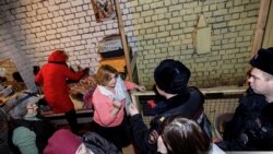 Операция по спасению кошек