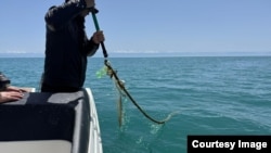 Министрлик тараткан сүрөт.