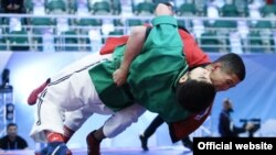 Акс аз бойгонӣ