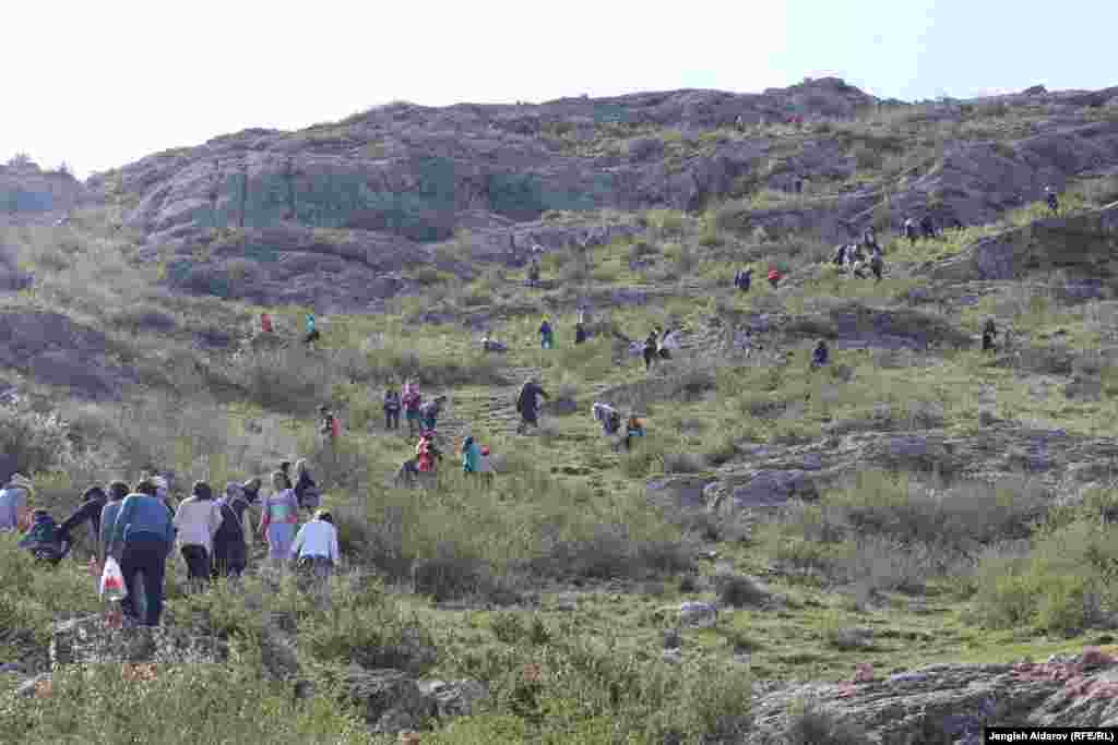 Бирок элдин эс алуусуна айланган тоодо гүлдүн жоголуу коркунучу негизги көйгөйгө айланган.