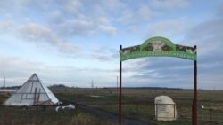 Кедровый питомник под Калининградом