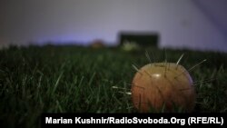 Владислав Новаковський пояснює свою арт-інсталяцію так: зона відчуження тепер як окремий самоізольований стан. «Відсутність людини надає величезний ефект для природи відчужених територій»