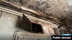 Լուսանկարը՝ դիտորդական խմբի