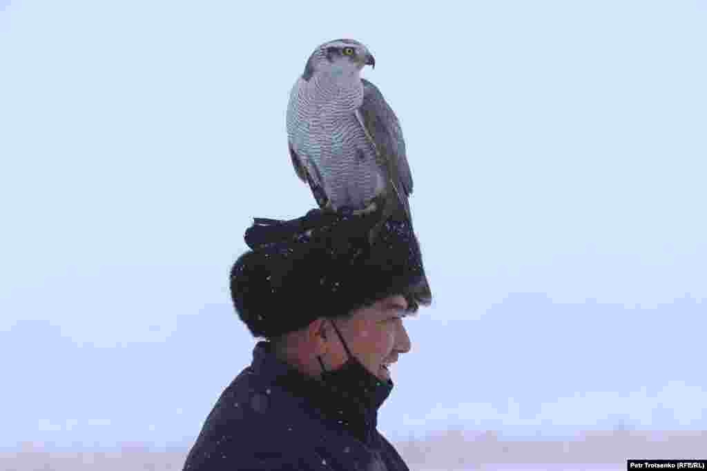 Чоловік із ловчим птахом на голові