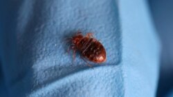 Diňle: Aşgabadyň ýaşaýjylary tagtabitden ejir çekýärler 