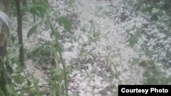 Аксыга түшкөн мөндүр