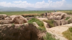 Баласагын шаарынын чалдыбары ("Бурана" музей-комплекси). 07.6.2015.