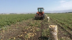 Տնտեսական ակտիվության աճը ավելի քան տասն անգամ դանդաղել է. Վիճկոմ