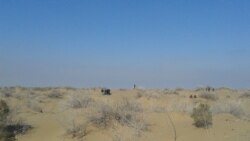 Yklymow: Ýeriň daýhana berilmegini syýasy sistema bökdeýär