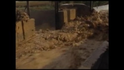 Мощный сель прошел в Таласе