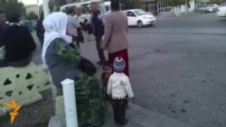 Türkmenabat: Transport kösençlikleri