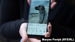 Собака Тетяни на березі моря