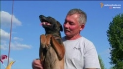 Собаки лікують поранених військових