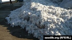 Мешки, набитые песком, найдены в собранном хлопке, который сдали в пункт приема в Бозском районе Андижанской области. 
