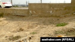 Микрорайон Мир-7, Ашхабад  