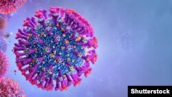 Կորոնավիրուսի «դելտա» տարբերակի գրաֆիկական պատկերը