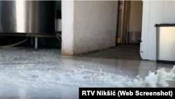 Zbog obustave otkupa sirovo mlijeko je moralo biti prosuto