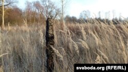 Абгарэлы слуп – нямы сьведка пажараў