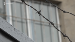 «Ողբերգական թվերը կտրուկ աճում են». կալանավորը հայտնաբերվել է կոշիկի քուղով կախված 