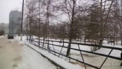 Светлана Давыдованын иши