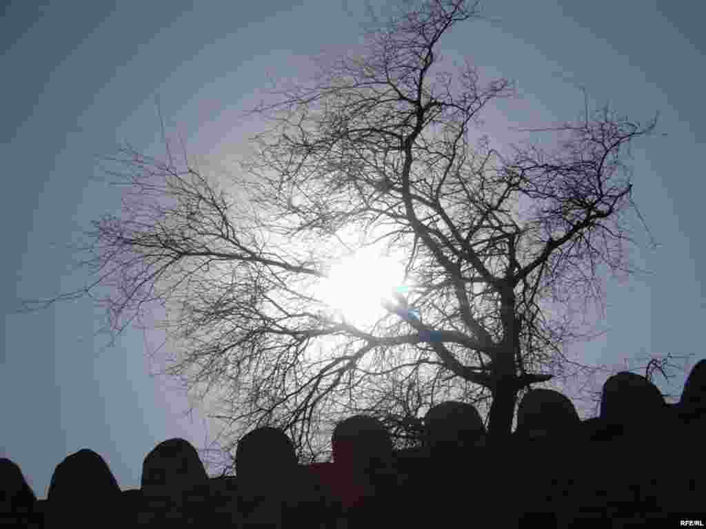 İçərişəhər içəri görünüşünü itirir  #43