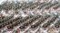 Иранские подразделения на военном параде в Тегеране, 22 сентября 2009 года