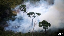 آتش‌سوزی در طبيعت در ماه‌های خشک پديده‌ای معمولی است ولی برخی از موارد عمدی و توسط مزرعه‌داران اتفاق می‌افتد که برای گسترش مراتع دامپروری به طور غيرقانونی جنگل‌ها را از بين می‌برند.