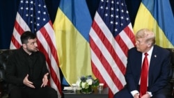 Владимир Зеленский и Дональд Трамп