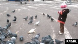 Ребенок кормит голубей. Иллюстративное фото. 