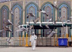 Дезінфекція площі біля святині імама Аббаса, священне для шиїтів місто Кербела, 15 березня 2020 року