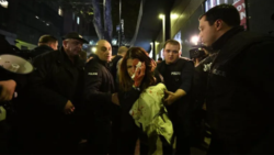 С повреждением в области виска Анна Субелиани была доставлена в больницу