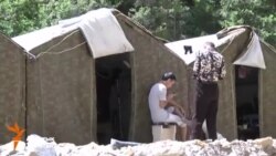 Нарын: Алтындын азабы