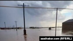 26-njy maýda bolan siliň netijesi