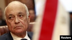 نبیل العربی، وزیر امور خارجه مصر